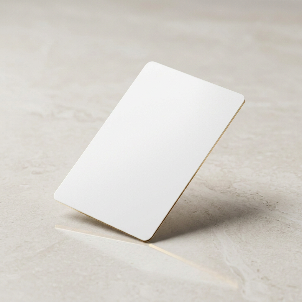 oneTap Card — Bianca — Retro della card